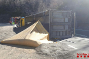 El camión volcado transportaba pipas de girasol. 