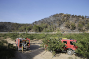 La zona de Mas de Noguers, en Maials, tras el incendio que ha calcinado 27,5 hectáreas de vegetación. 