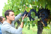 Formació professional construint oportunitats de futur  a les Garrigues