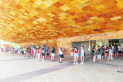 Cues a la Llotja dels centenars de lleidatans que van anar a fer-se un test ràpid de Covid per assistir al festival de música Canet Rock.