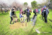 Vecinos hicieron una plantada de árboles en el ‘bosquet’ del Palauet en marzo.