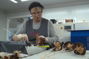 El Rosal de Tàrrega ja treballa per fer 14.000 roses de galeta per Sant Jordi