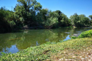 Aitona neteja la llera del riu per habilitar noves zones de pesca recreativa