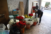 El Patronat del Corpus de Lleida, preparant ahir les flors amb què decoraran l’Eix.