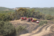 Bombers en l’incendi de vegetació que es va originar ahir de matinada a Vilaplana, nucli de la Baronia de Rialb.