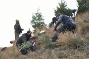 La plantada d’arbres d’ahir al Turó de Gardeny.