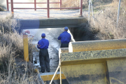 Operaris treballant ahir en el condicionament i neteja a la séquia Major de Pinyana a Lleida.