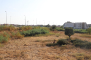 Vista de part dels terrenys on Carrefour projecta un nou centre comercial.