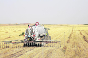 Imatge d’arxiu d’aplicació de purins en finques agrícoles de la Noguera.