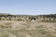 Vista de l’àrea de Torre Salses, entre els Magraners i la Bordeta.