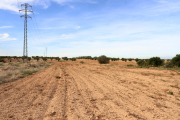 Terreno calificado como industrial pero todavía sin urbanizar  -  El polígono de Vaca Roja incluye 41 hectáreas de terrenos actualmente dedicados a cultivos. Están calificados desde hace años como suelo industrial, pero nunca se desarrollaron. ...