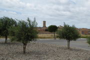 Vista d'arxiu de Torregrossa