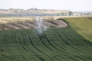 Una finca regada por el Segarra-Garrigues en Tàrrega.