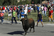 La Fiscalia no veu delicte de maltractament animal en el torneig del Toro de la Vega