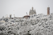 Vegetació coberta de neu a la serra de Collserola vista des del Tibidabo.