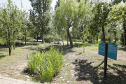 Uno de los espacios representados en el Arborètum es el del bosque de ribera.