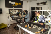 Dos perros recibiendo ayer cuidados en una peluquería canina del barrio de Pardinyes. 