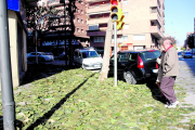 Hojas caídas en una calle de Lleida.