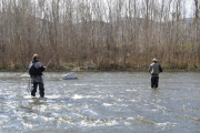 Membres del Club de Caça i Pesca de l’Alt Urgell, ahir a la primera jornada de pesca de baixa muntanya.