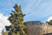 El castell d'Arbeca forma part de la ruta de castells de les Garrigues