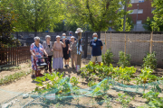 Un grup d’usuaris de la residència i del servei de Rehabilitació Comunitària a l’hort.