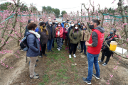 Imagen de archivo de un grupo de turistas visitando la floración de los árboles frutales en Aitona.