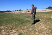 Una zona de cereal de secano en la comarca de la Segarra.