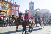 Una desena de cavalls i ponis, a la desfilada.