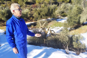 Miquel Prunera, en enero de 2021 en la finca de Bovera afectada por la nevada. 