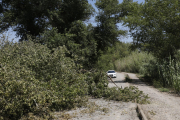 El camí del Riu, a la partida de Rufea, parcialment tallat.