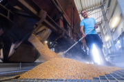 El alza de los costes de las materias primas, como los cereales, han lastrado a la economía leridana.