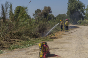 En las afueras de la Mariola se calcinaron 3.300 metros cuadrados. 