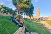 Vista del vehicle que va arrancar ahir una palmera al Turó.