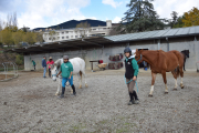 Alumnes del centre que cursen els estudis de tècnic d’Activitats Eqüestres.