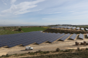 Imatge d’arxiu d’una instal·lació de panells solars a la comarca del Segrià.