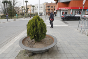 Una de les jardineres a prop del passeig del Terrall que encara no s’ha retirat de les Borges.