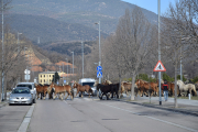 Els cavalls travessant ahir un carrer de la urbanització de l’Horta del Valira de la Seu d’Urgell.