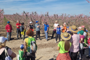 Més de cent persones visiten els camps de fruiters de Bellver i Ontinyena