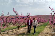 La cònsol general dels Estats Units a Barcelona, Katie Stana, va visitar ahir els camps en flor d’Aitona.