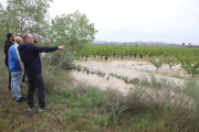 Alcaldes i pagesos observen la magnitud de les conseqüències del desbordament del Cinca entre la Granja i Massalcoreig.