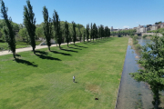 L’aspecte actual de la gespa del marge esquerre de la canalització.