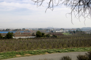 Imatge d’una vista general de l’Horta de Lleida amb la Seu Vella al fons.