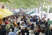 L’eix literari de Lleida, de l’avinguda Francesc Macià a la rambla Ferran, va viure ahir moments de presència multitudinària de públic.