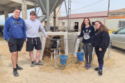 Els quatre joves, a les instal·lacions dedicades a la ramaderia de l’Institut Mollerussa.