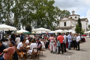 Centenars de persones van participar en els actes programats durant la jornada.