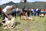 La XI Fira del Parc de l'Alt Pirineu reuneix 2.500 persones a Arrós de Cardós