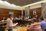 Una agent llegint el manifest en el ple de Solsona.