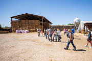 Els visitants van conèixer les instal·lacions i l’activitat de Cal Quitèria, a Almacelles.