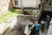 La comunitat de regants va tallar l’aigua a Balaguer el 5 d’abril.