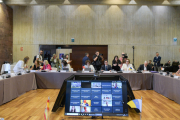 Vista de la reunió de la Conferència Sectorial d’Infància i Adolescència a Santa Cruz de Tenerife.